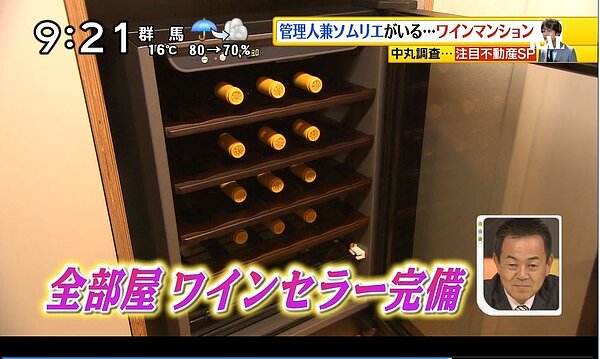 日本 興趣公寓(翻攝自網路)