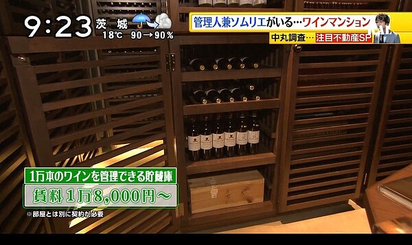 日本 興趣公寓(翻攝自網路)