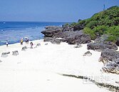 小琉球漁埕尾潮間帶 今起總量管制