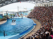 遠雄海洋公園擴建　進二階環評