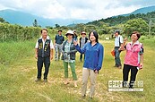 虎頭山頂　擬建觀景平台