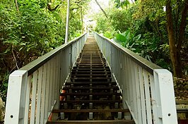 徒步到郭氏古宅要有心理準備，階梯還不少。