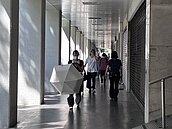 熱帶低壓將升級麥德姆颱風　吳德榮：另一熱帶擾動續觀察