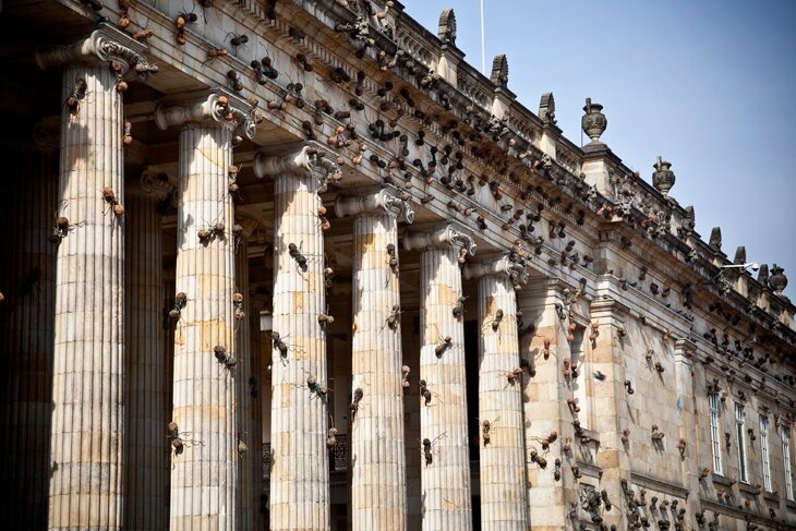 藝術家Rafael Gómezbarros將螞蟻巨大化，讓它們佈滿整棟建築，遠看就像畫廊遭遇蟲蟲危機！（圖片截自SAATCHI GALLERY網站）