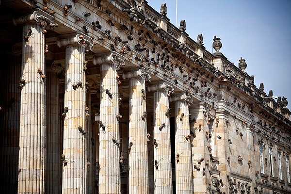家事達人陳映如列舉5招,有效驅逐螞蟻。(示意圖/圖片截自SAATCHI GALLERY網站)