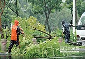 3坪鐵皮屋吹翻　4口雨中逃離