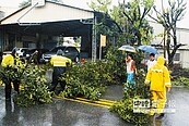 冒雨清路障　清潔員辛苦了