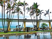 颱風遠離　阿里山公路今開通