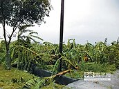 全台農損近3億元　宜花中受創最重