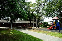 仁濟療養院因有大樹遮蔭，夏天也不會炎熱，因此就成為當地居民大樹下閒聊、泡茶的休憩中心。