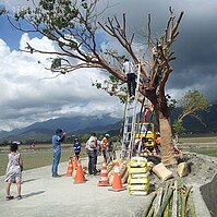 金城武樹　跌倒了又站起來