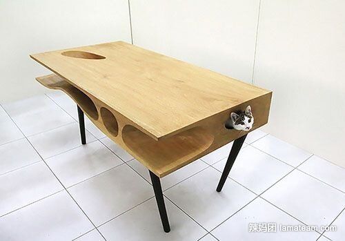 貓咪書桌