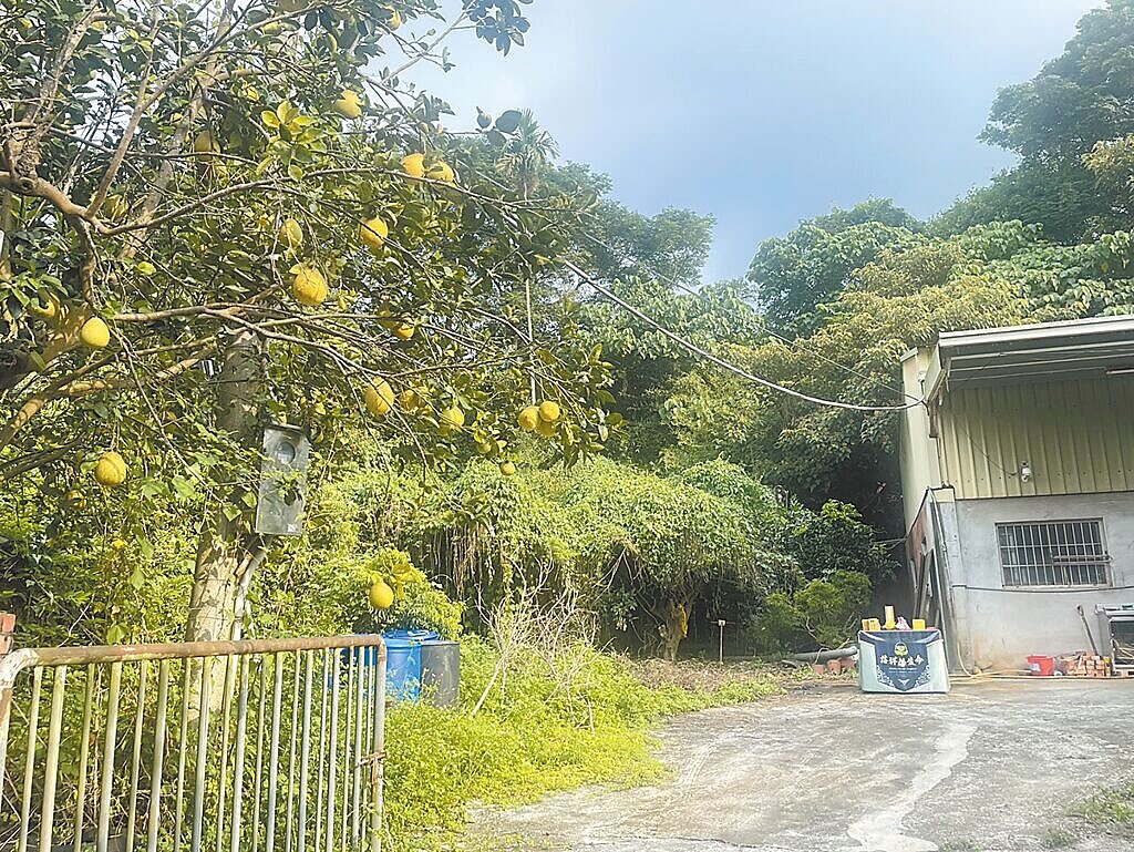 彰化縣一處果園廁所中發現一具著紅衣枯骨,家屬從衣著推測認為應為失蹤14個月、遭詐騙集團騙逾千萬元的許姓男子。(民眾提供/葉靜美彰化傳真)