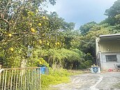 彰化遭詐千萬賣房破產失聯　果園尋獲已成紅衣枯骨