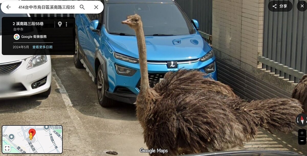 最近有網友意外發現去年台中烏日有圍捕鴕鳥場面,「鴕鳥還一臉不爽」,影片一出,引起網友熱議。圖/翻攝自Google Maps