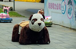 電動的貓熊正靜靜的等待小朋友一起遊玩。