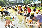 ４億土地當菜園　200親子插秧趣