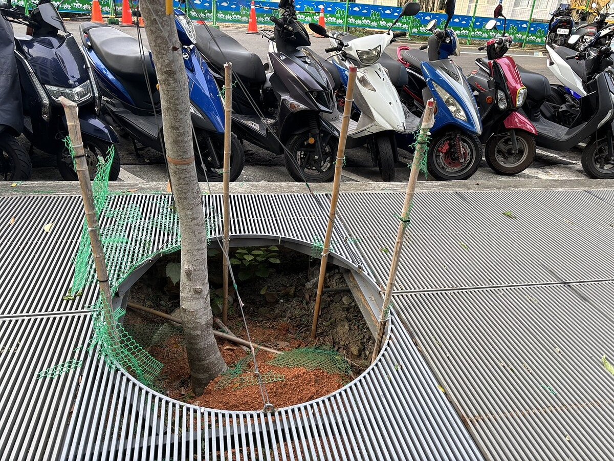 樹穴蓋板因移植產生大洞口，成了行人地雷，稍有不慎就可能踩空跌倒。圖／議員陳怡君提供

