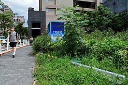 所謂的公園是讓民眾休憩的場所，不但雜草叢生無人管理，在雜草中還出現建案廣告，旁邊還有一隻倒掉的路牌，這樣的＂台北好好看＂令人嘆為觀止。（好房News記者 陳韋帆／攝影）