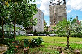 斷掉的樹木與不知名的容器交雜，彷彿諷刺著＂美麗的力量＂與＂台北好好看＂政策。（好房News記者 陳韋帆／攝影）