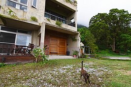 「緣將」是住在陽光佈居內的貓星人，十分有個性，卻也容易親近人。