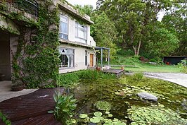 種滿水生植物的小池塘，兼具造景與溫度調節的功能。