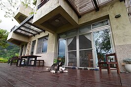 來此住宿的旅客們，不妨帶著心愛的毛小孩來這邊交個朋友吧！
