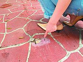 中壢夢幻公園完工4個月　人行道斑剝