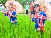 小學生學「踔田」　像幫泥土按摩
