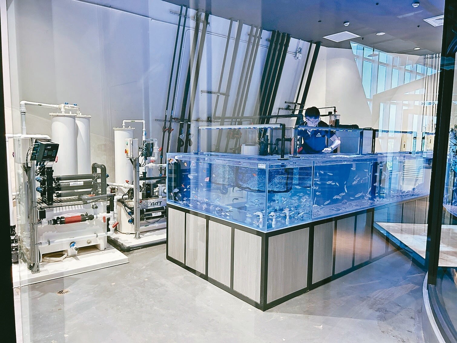 台中海洋館開設中部首座「水生生物收容中心」,提供水生生物緊急救援、醫療與收容。記者黑中亮/攝影