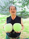住永久屋「歹賺呷」　居民冒險回村種菜
