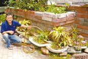 水電工美化社區　廢棄洗手台種花