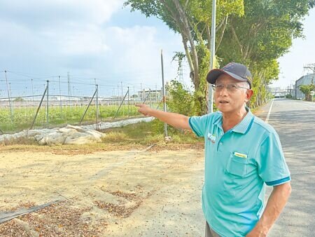 
高市府研擬在北高雄新闢7處公辦土資場，其中1處就在燕巢區瓊興路上，瓊林里長張舜傑指出，該處離住宅區太近，擔憂會有環境汙染，希望能換地點設置。（紀爰攝）
