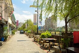 在三峽溪旁的清水街上，種滿了柳樹。