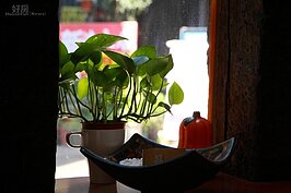 雖然只是一間小店，處處都是令人感動的角落。