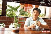 盆栽種植美化居家　“竹芋”天暖水噹噹