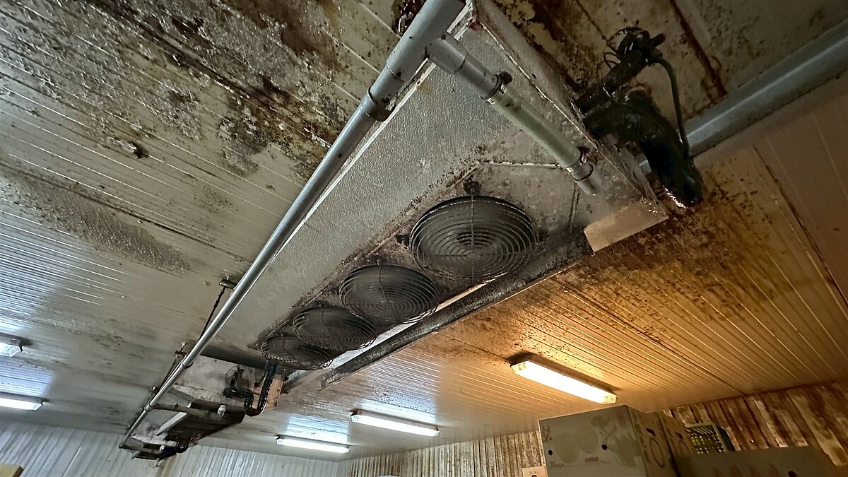 新北市議員顏蔚慈指出,三重果菜批發市場冷凍庫自1986年成立至今,從未翻新冷凍設備,導致設備年久失修長期漏水,整個冷凍庫潮濕發霉。圖/顏蔚慈提供