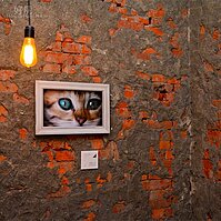 未完成的百萬裝潢／裝潢心理學／巴黎米咖啡