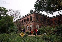 隨處都可看到新人拍攝婚紗。