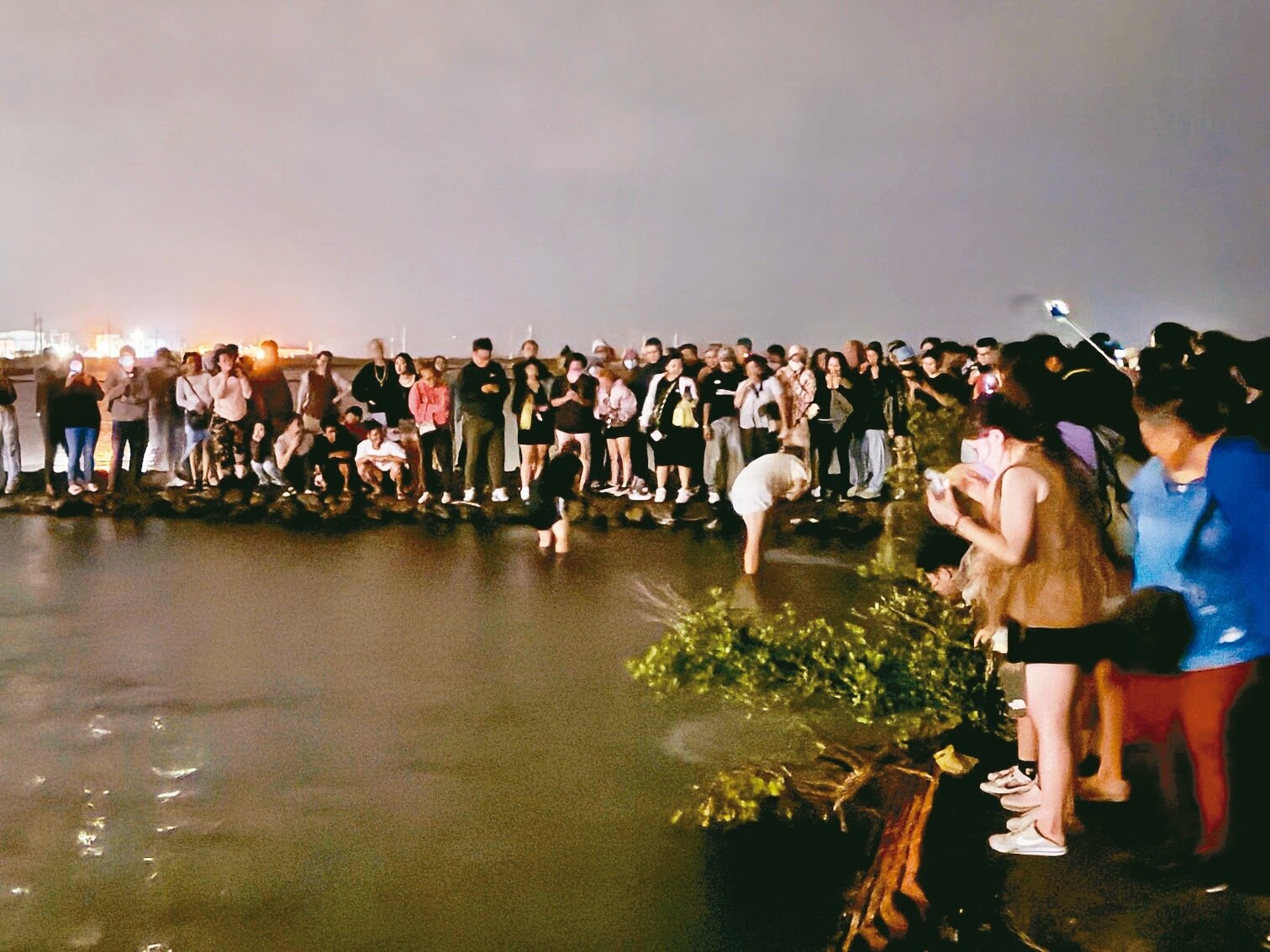 台南將軍青鯤鯓扇形鹽田上周起藍眼淚奇景,有遊客為拍照踏入鹽田水域。記者萬于甄/攝影