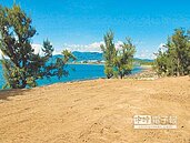 砍海岸樹種草皮　墾管處：種回去