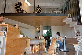 甫進門就發現，有一個十分特殊的閣樓，讓空間使用上靈活了許多，從原本僅十七坪的使用空間擴增到二十五坪。