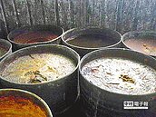 查了4年　屏縣府縱放