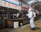 活豬禁運解封　農業部管制出豬防價崩