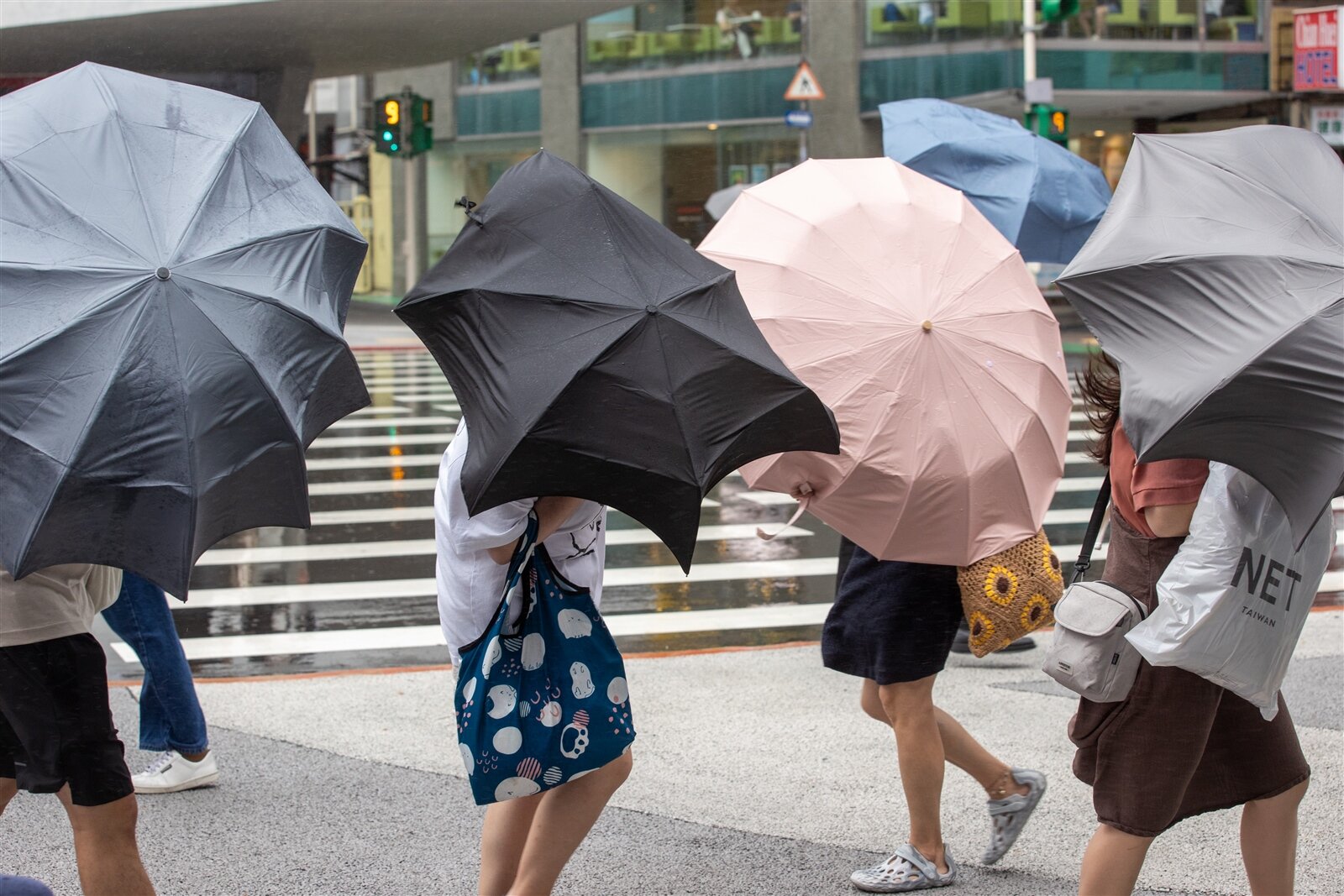 鳳凰颱風下周二至下周四最接近台灣,受東北季風及颱風或其外圍環流影響,迎風面北部、東半部地區易有持續性強降雨出現,南部地區也有陣雨,並有大雨或局部豪雨發生的機率,其他地區降雨機率亦高。本報資料照片