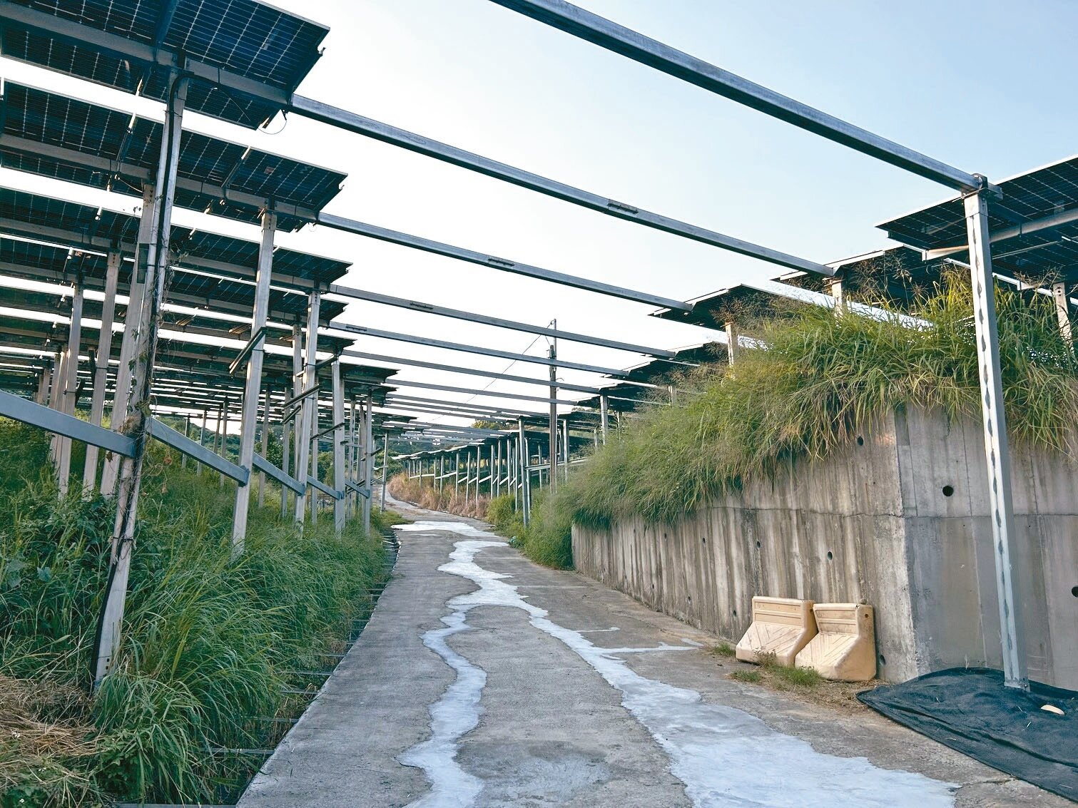 高雄大樹和山光電場後方是大片果園，案場內有多條農路通往果園，光電板拆除後，道路上方遺留的支架讓農民憂心忡忡。記者徐白櫻／攝影 