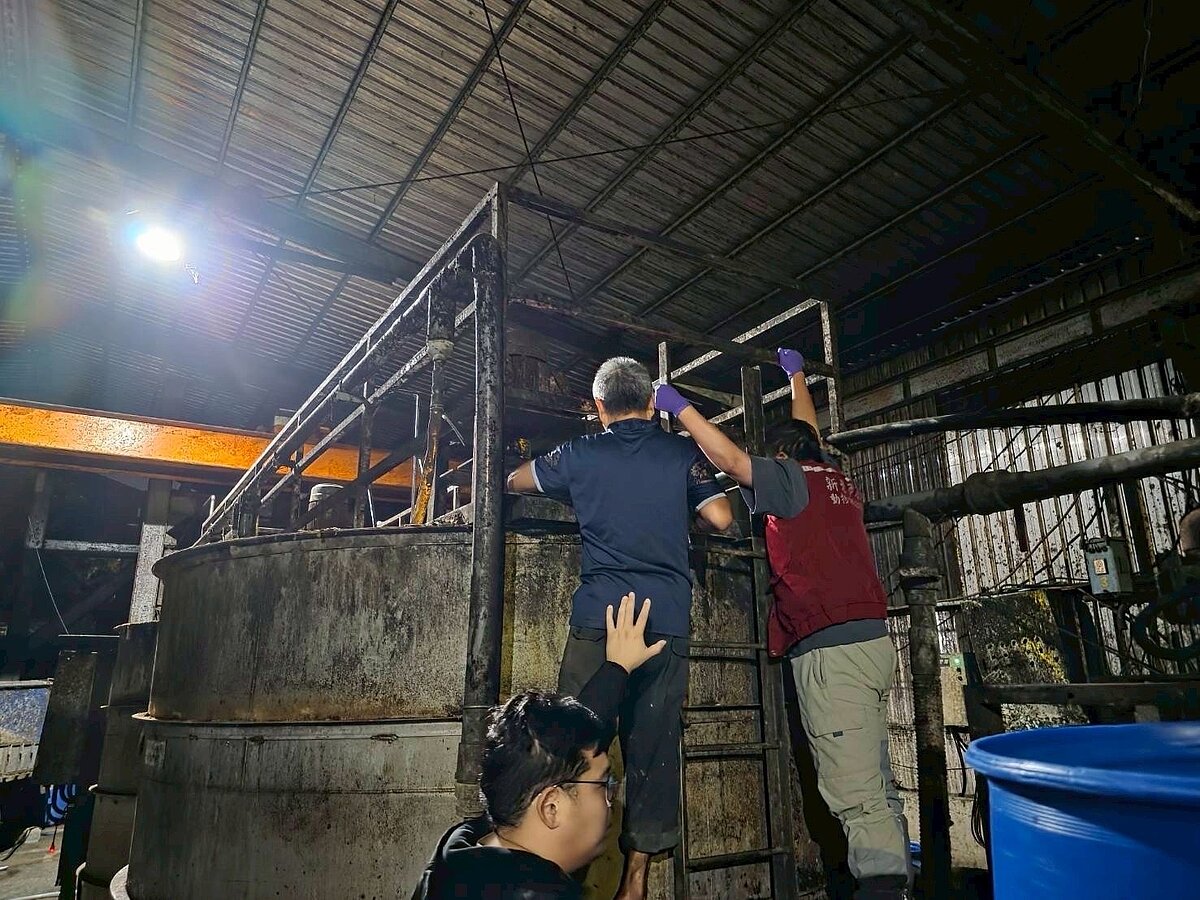 新北市府聯合稽查小組6日清晨主動前往林口區養豬場稽查,查獲2場餵食豬隻未蒸煮廚餘,立即通報中央,封鎖廚餘槽禁止再啟用,重罰206萬。圖/新北市動保處提供