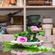 一盆簡單又高雅的花藝，就可立即讓客廳氣氛煥然一新，這可不是神話，人人都可以，只要創意與簡單DIY就可以。