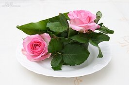 玫瑰花擺放的位子就看心情與創意了。