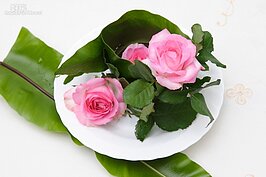 多的山蘇葉怎麼辦？別丟，墊在成品盤子下，又是另外一個風情。